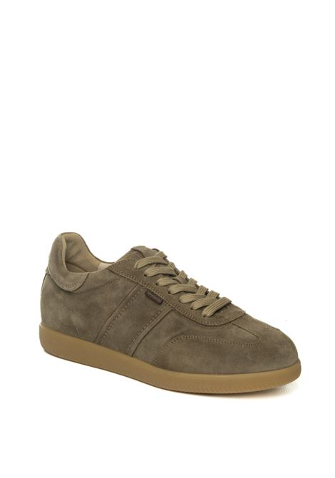  NERO GIARDINI | 500685AROLD-TALPA